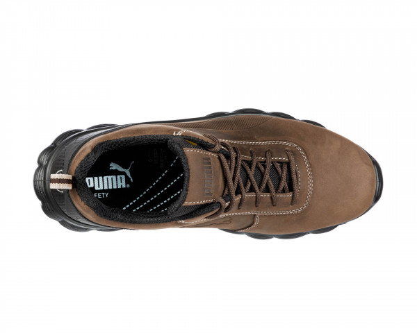 CONDOR LOW