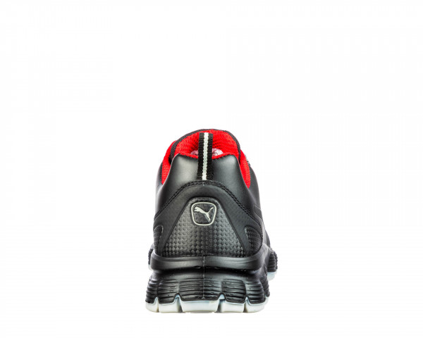 CONDOR LOW
