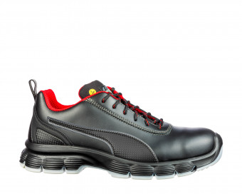 CONDOR LOW CONDOR LOW