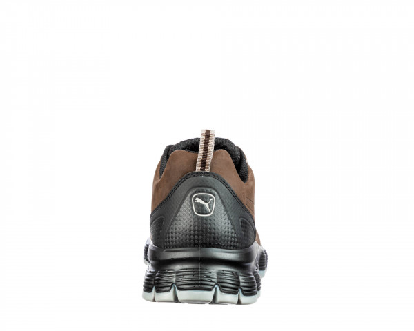 CONDOR LOW
