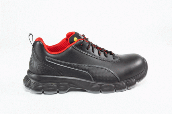 CONDOR LOW