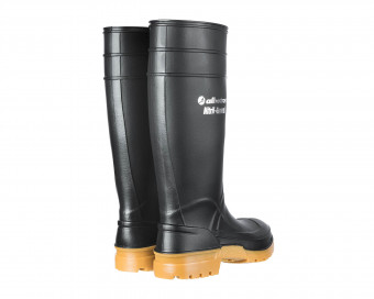 Vorschau: Guardian High Vorschau: Guardian High