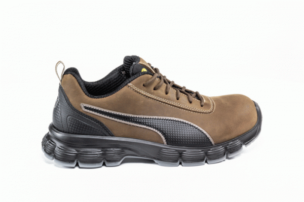 CONDOR LOW